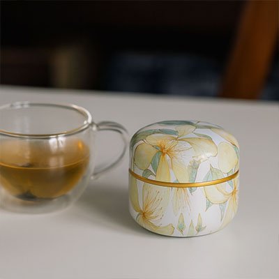 Boite à thé | Élégante - INFUSION Accessoires thé/café