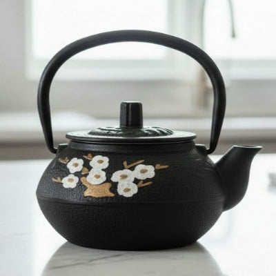 Théière japonaise en fonte 300 ml